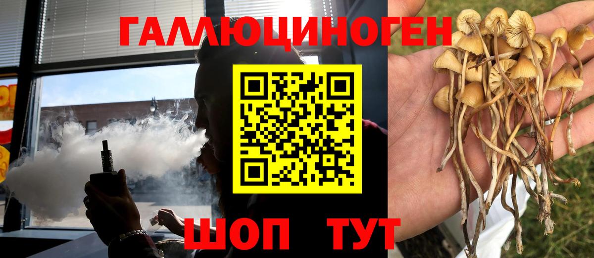 Каменка  Галлюциногенные грибы Cubensis  Вход с VPN 